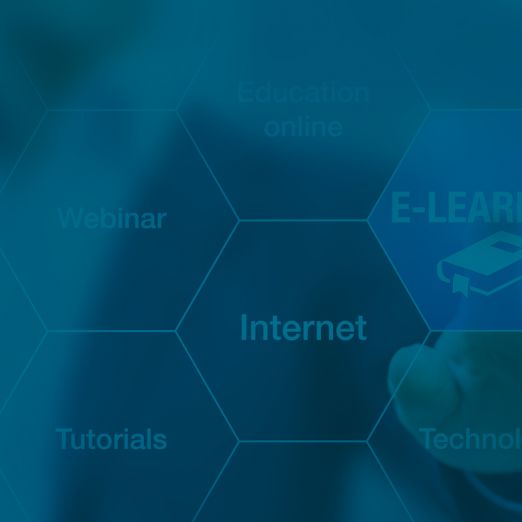 DVZ.SENS E-Learning Service