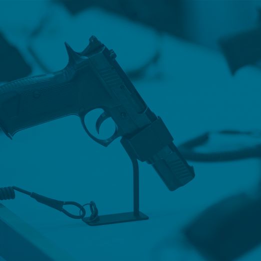 Mehrere Waffen stehen in einem Regal